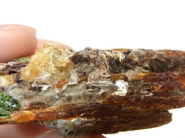 AR0003F������ʥ��ȡ����ڥ��륿���ȥ����ͥåȡ����С����󥶥˥���