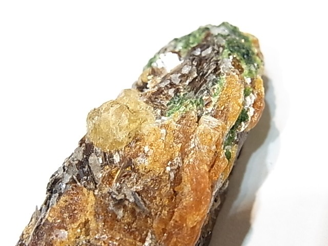 AR0003F������ʥ��ȡ����ڥ��륿���ȥ����ͥåȡ����С����󥶥˥���