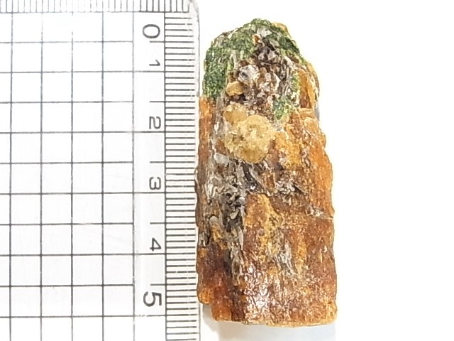 AR0003F������ʥ��ȡ����ڥ��륿���ȥ����ͥåȡ����С����󥶥˥���