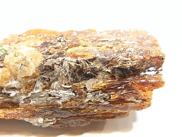 AR0003F������ʥ��ȡ����ڥ��륿���ȥ����ͥåȡ����С����󥶥˥���