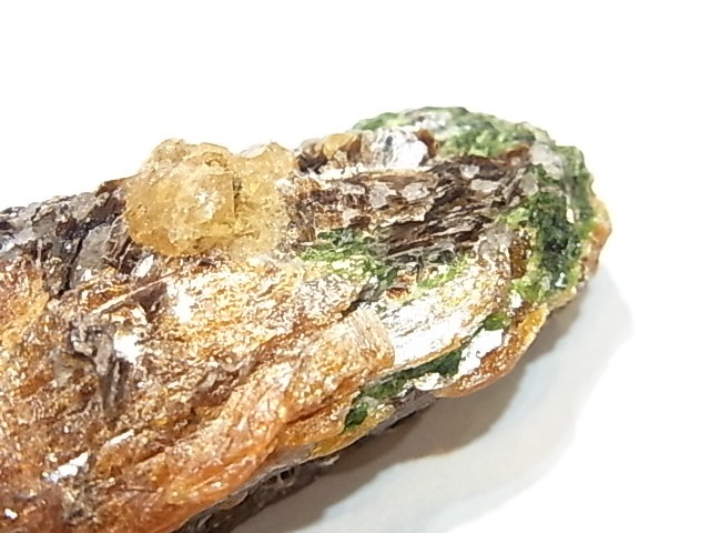 AR0003F������ʥ��ȡ����ڥ��륿���ȥ����ͥåȡ����С����󥶥˥���