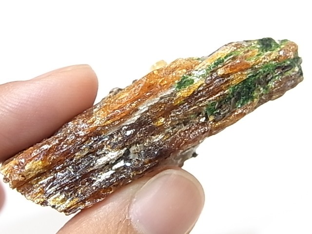 AR0003F������ʥ��ȡ����ڥ��륿���ȥ����ͥåȡ����С����󥶥˥���