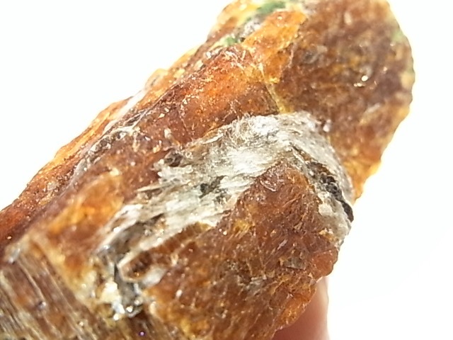 AR0003F������ʥ��ȡ����ڥ��륿���ȥ����ͥåȡ����С����󥶥˥���