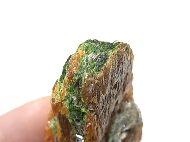 AR0003F������ʥ��ȡ����ڥ��륿���ȥ����ͥåȡ����С����󥶥˥���