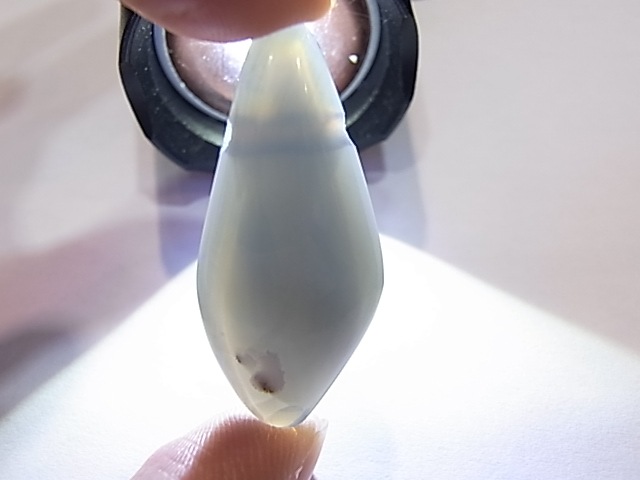 PA00104K�����쥴�󥪥ѡ��롡����ꥫ�����쥴�󽣻����ꤢ���ڥ����ȥȥå�