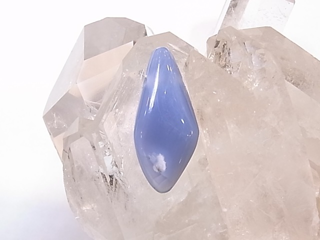 PA00104K�����쥴�󥪥ѡ��롡����ꥫ�����쥴�󽣻����ꤢ���ڥ����ȥȥå�