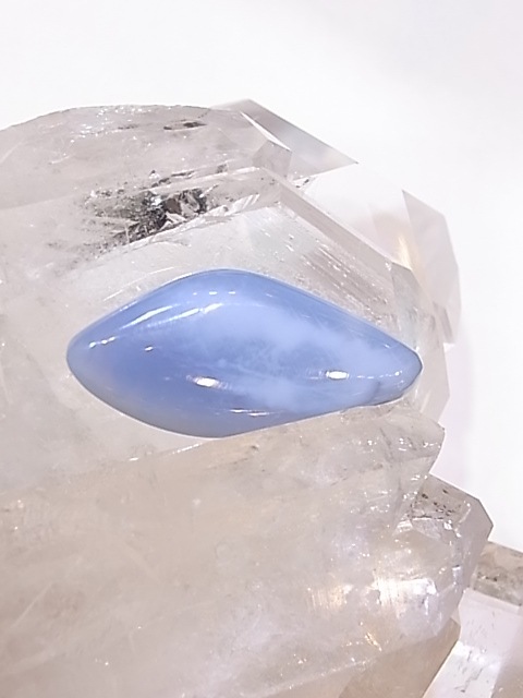 PA00104K�����쥴�󥪥ѡ��롡����ꥫ�����쥴�󽣻����ꤢ���ڥ����ȥȥå�