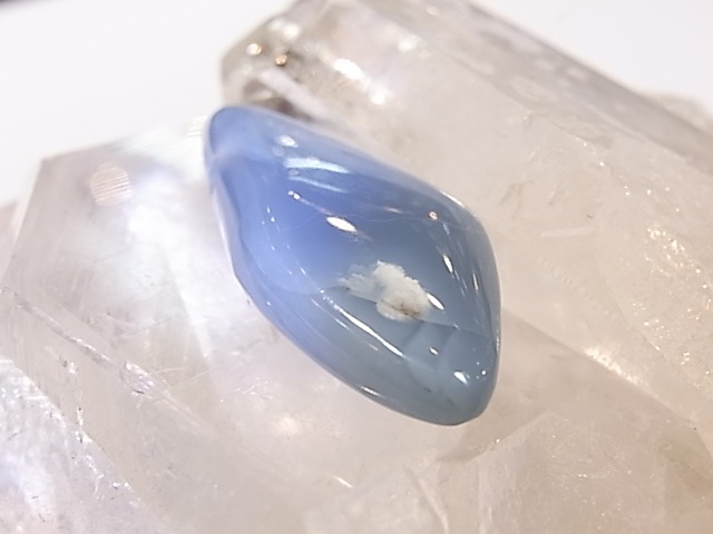 PA00104K�����쥴�󥪥ѡ��롡����ꥫ�����쥴�󽣻����ꤢ���ڥ����ȥȥå�