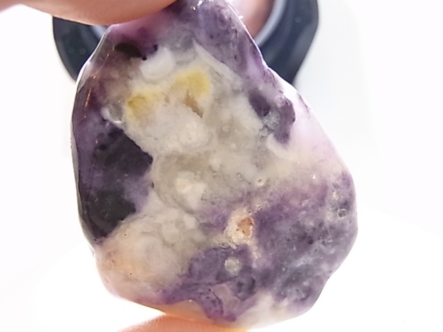 PA00105K����饪�ѡ���ʥѡ��ץ륪�ѡ���ˡ��ꤢ���ڥ����ȥȥå�