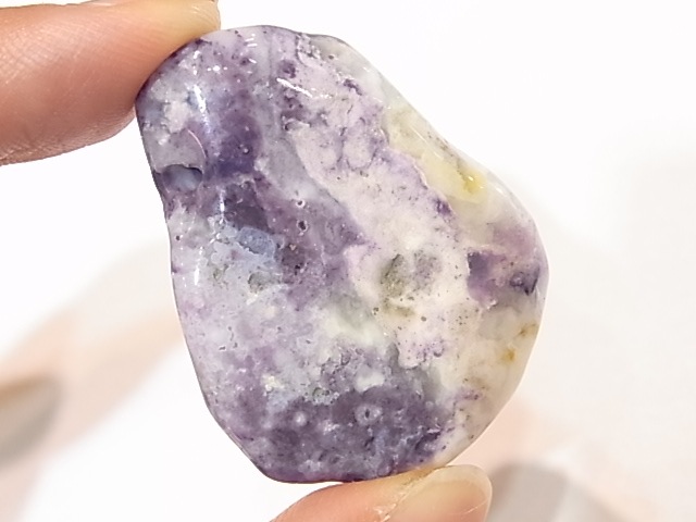 PA00105K����饪�ѡ���ʥѡ��ץ륪�ѡ���ˡ��ꤢ���ڥ����ȥȥå�