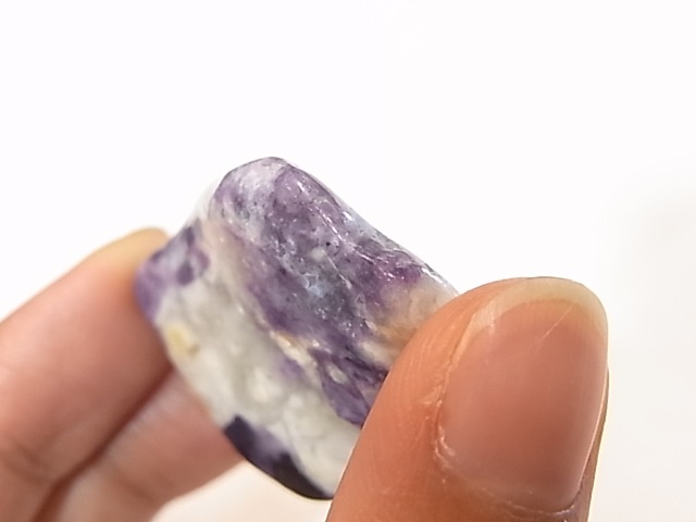 PA00105K����饪�ѡ���ʥѡ��ץ륪�ѡ���ˡ��ꤢ���ڥ����ȥȥå�