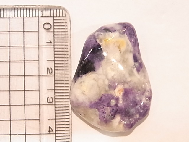 PA00105K����饪�ѡ���ʥѡ��ץ륪�ѡ���ˡ��ꤢ���ڥ����ȥȥå�