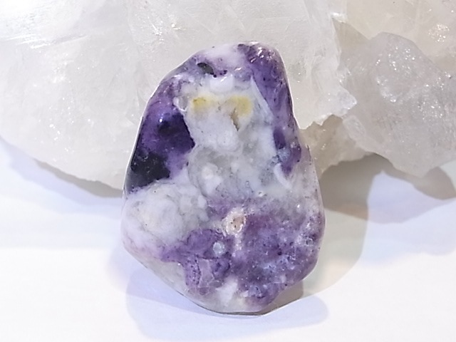 PA00105K����饪�ѡ���ʥѡ��ץ륪�ѡ���ˡ��ꤢ���ڥ����ȥȥå�