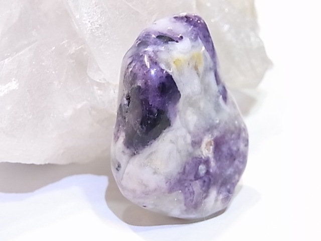 PA00105K����饪�ѡ���ʥѡ��ץ륪�ѡ���ˡ��ꤢ���ڥ����ȥȥå�