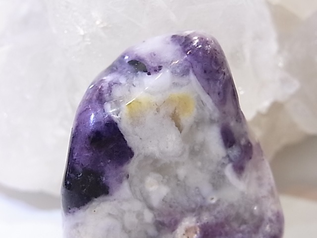 PA00105K����饪�ѡ���ʥѡ��ץ륪�ѡ���ˡ��ꤢ���ڥ����ȥȥå�