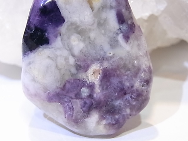 PA00105K����饪�ѡ���ʥѡ��ץ륪�ѡ���ˡ��ꤢ���ڥ����ȥȥå�