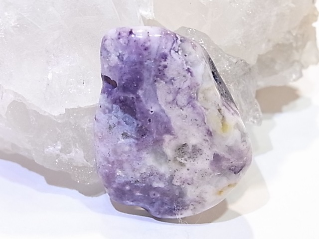 PA00105K����饪�ѡ���ʥѡ��ץ륪�ѡ���ˡ��ꤢ���ڥ����ȥȥå�