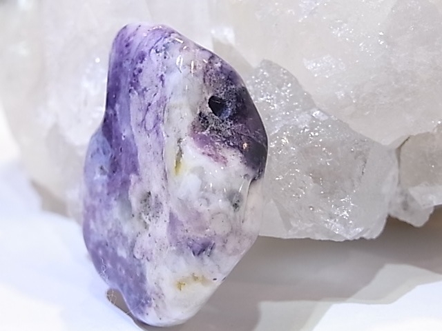 PA00105K����饪�ѡ���ʥѡ��ץ륪�ѡ���ˡ��ꤢ���ڥ����ȥȥå�