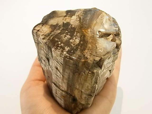 GK00015F  �ڥȥ�ե����ɥ��åɸ��С��ڴ����С�