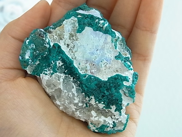 GK00035F ���������ץơ��������С��ڴ����С�