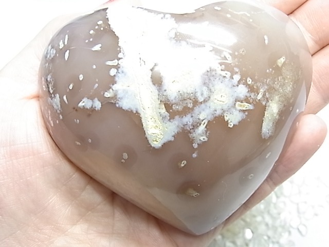 GF0009 �������ȡڥϡ��ȡ�