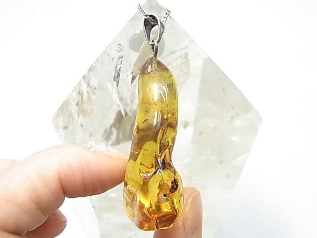 PF0089  ����С�