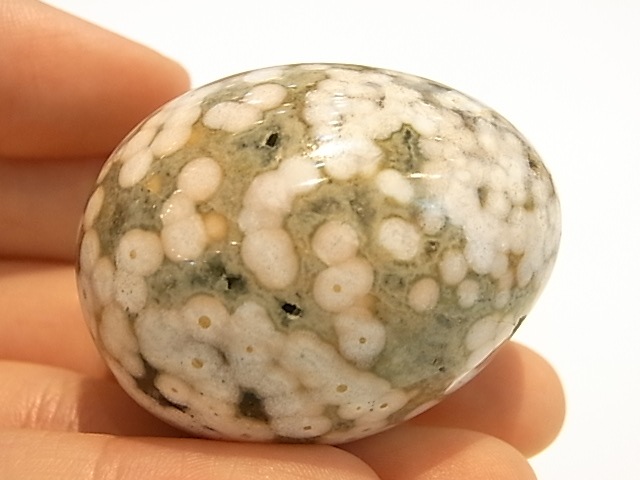 EK0006F ��������󥸥㥹�ѡ������å�