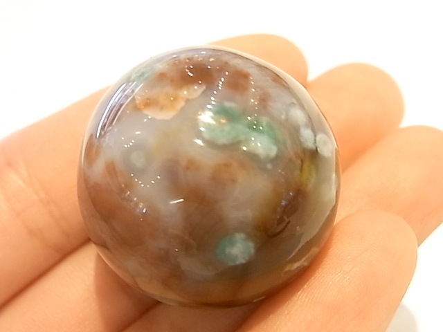 ��K00024F ��������󥸥㥹�ѡ����ݶ�