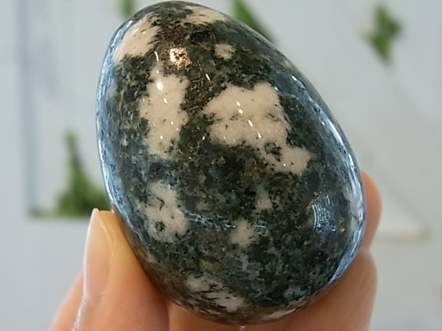 EK00012F �ץ쥻��֥롼���ȡ��󡡥��å�