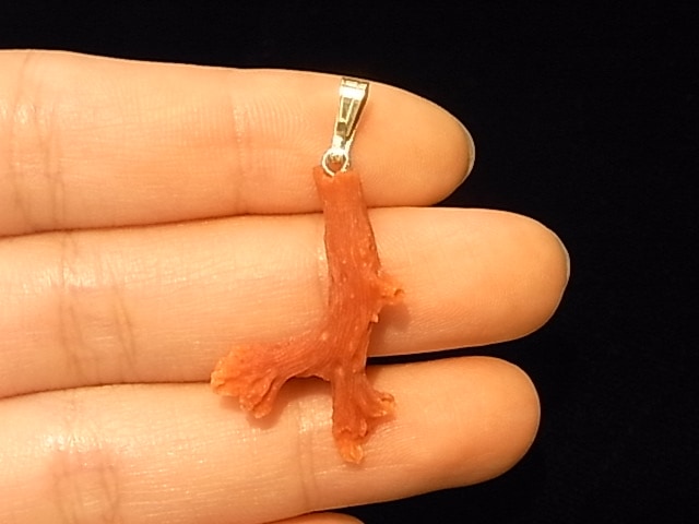 PK00153F ��åɥ�����롡����С��ڥ����ȥإå�(���泤��)