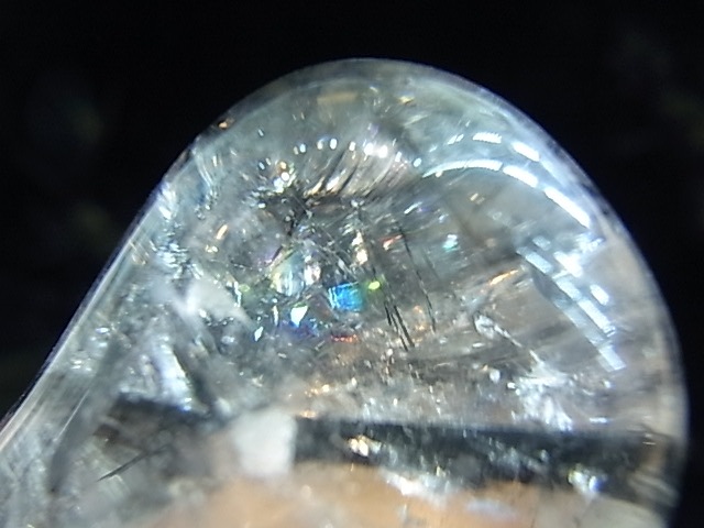 PRK00032F �֥�å�����롡�ݥ�å���