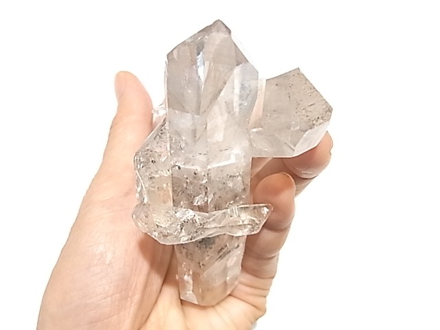 TG000015T�����٥åȥ������ġ�����