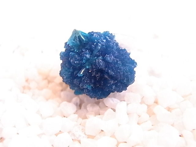 BU0125F ���Х󥵥��ȸ��С�����ɻ�