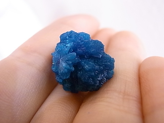 BU0128F ���Х󥵥��ȸ��С�����ɻ�