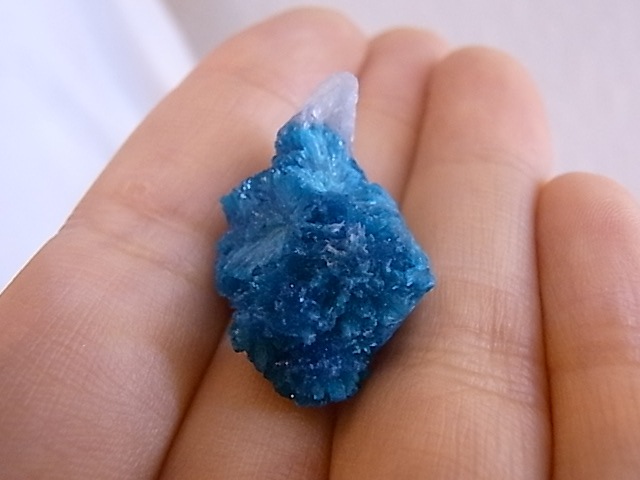 BU0126F ���Х󥵥��ȸ��С�����ɻ�