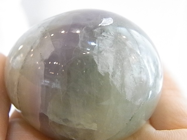 BU00133F �ե����饤�� ���å�