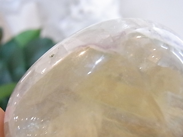 BU00136F �ե����饤�� ���å�