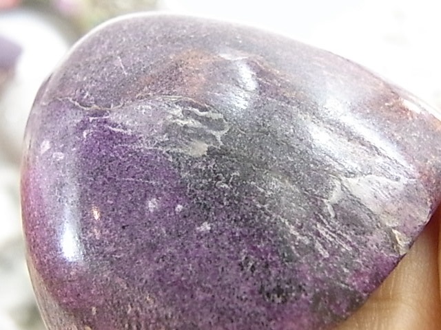 BU00143F ���ƥ��ҥ����ȸ��С���եꥫ��
