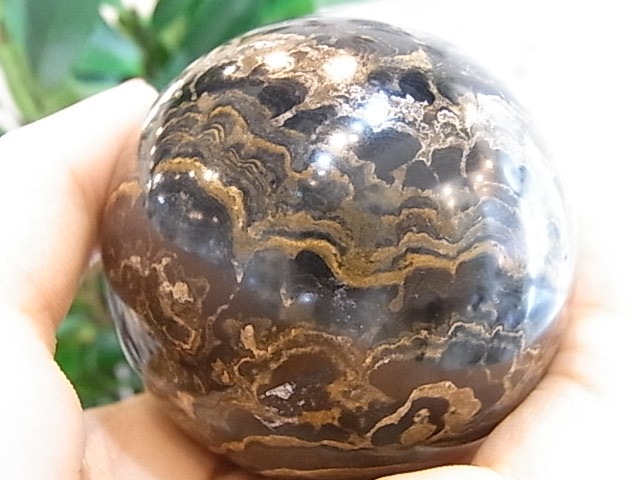 BU00176�����ȥ��ޥȥ饤�ȡ��ڥ롼��