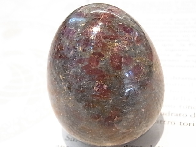 EK00027F Тӡ󥫥ʥȡå(ɻ)