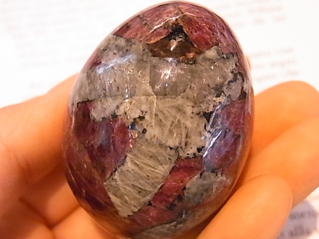 EK00029F ������Т�桼�ǥ����饤�ȡ����å���(��������)