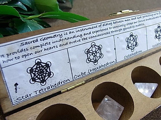 UE00094K �ץ�ȥ�Ω�Ρ�5�ĥ��å�