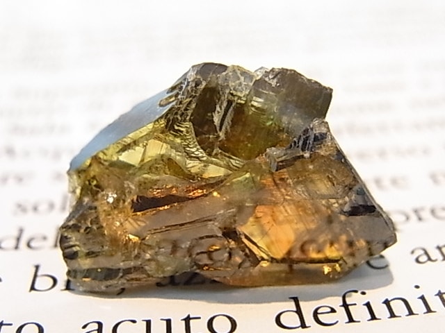 K00269F ե饤ȡСڴС(֥륬ꥢ)