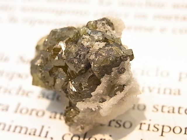 ��K00273F ���ե���饤�ȡ����С��ڴ����С�(�֥륬�ꥢ��)