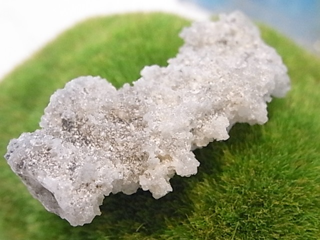 BU00206F �ե륰�饤��