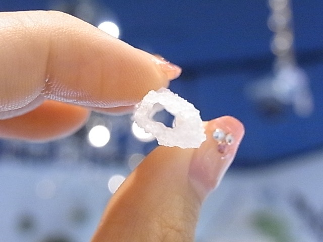 BU00207F �ե륰�饤��