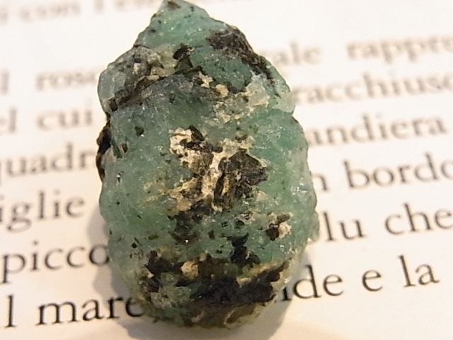 GK00289F ɸ (󥶥˥)