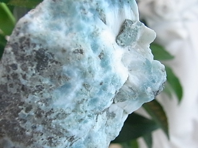 BU00219F�����ޡ�������