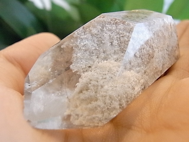 BU00260F �ۥ磻�ȥ����ǥ󥯥�����