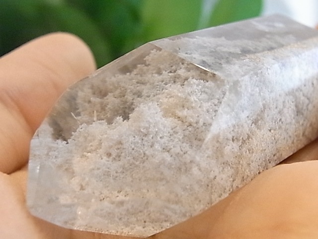BU00261F �ۥ磻�ȥ����ǥ󥯥�����